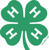 4H